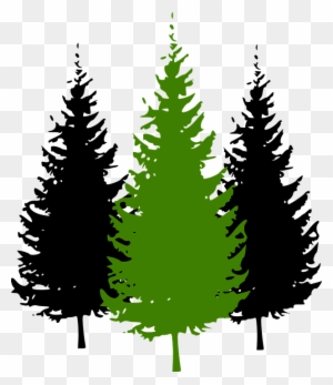Fir Tree Clipart Conifer - Pine Tree Silhouette