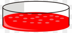 Cell Culture Petri Dish