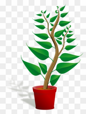 Plants Clip Art Free Clipart Images - Getting To Know Plants