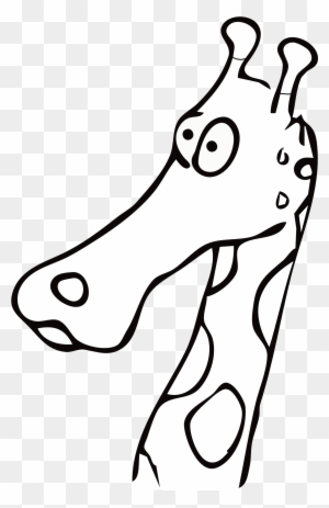 Bonfire - Giraffe Head Black And White Drawings