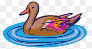 Duck On Water Art