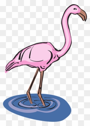 Flamingo In Water Clipart