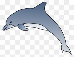 Bottlenose Dolphin Clipart Gallery Clip Art Library - Dolphin Illustration