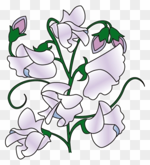 Clipart Info - Sweet Pea Flower Clipart