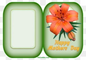 Happy Mothers Day Tiger Lily Flower - Happy Mothers Flower Cards