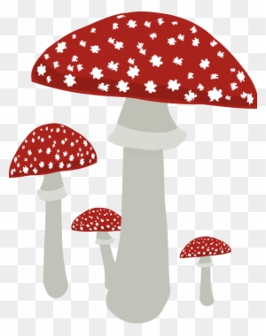 Free Group Of Mushrooms Clip Art - Fungi On No Background