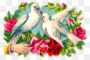 The Colorful Romantic Clipart Images Of Pairs Of Doves - Garden Roses