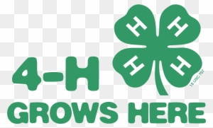 Green Grows Here - 4 H Grows Here Logo