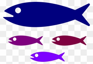 Shoal Fish Fish Family Water Png Image - Small Medium Large Fish