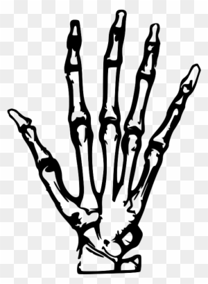 Hand X Ray Svg Vector File, Vector Clip Art Svg File - Skeleton Hand Clip Art