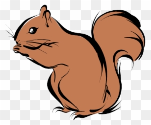 squirrel class printable animal targets free transparent png clipart images download