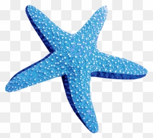 Blue Starfish Png Blue Starfish Png - Estrella De Mar .png