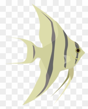 Angelfish Clipart Different Fish - Angel Fish Logo
