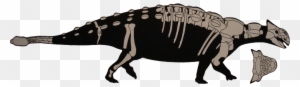 Ankylosaurus Was A Large, Armoured Dinosaur Within - Ankylosaurus Size To Triceratops