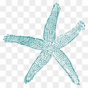 Maehr Aqua Starfish Clip Art At Mzayat - Estrella De Mar Vector