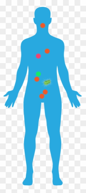 Radon - Human Body Icon