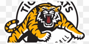 Ticats Face Unlikely But Possible Playoff Berth - Hamilton Tiger Cats Cfl