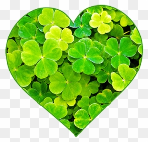 2025 st patricks day greenwood sc
