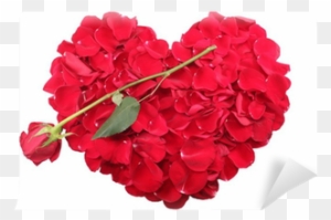 Heart Shape Of Red Rose Petals With A Red Rose Wall - Pétales De Rose En Coeur Et Flèche