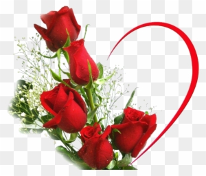 Desktop Wallpaper Rose Love Flower Stock Photography - Beautiful Love Rose Flowers