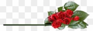Clipart Rose Png Best Image - Valentines Day Beautiful Roses