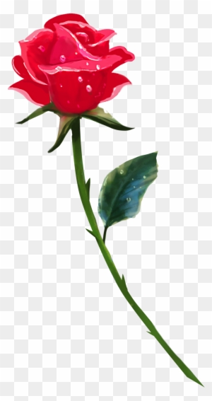 A Single Rose By Brookegillette A Single Rose By Brookegillette - Single Rose Flower Hd Png