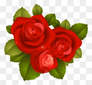 Bouquet, Ecology, Flower, Flowers, Marriage, Nature, - Red Rose Icon Png