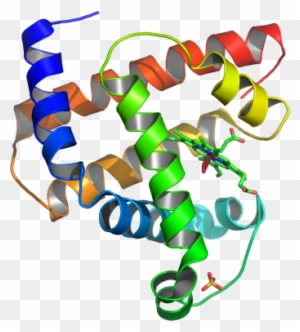 Unknown Clipart Etiology - Do Proteins Look Like