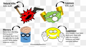 Most Important Of All The Adaptive Immune System Produces - Natural Killer Cell Cartoon
