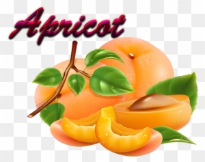 Apricot Download Png - American Home Mortgage Servicing
