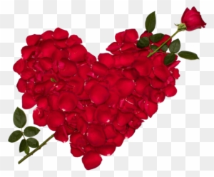 Rose Petal Heart With Arrow Photo - Love Rose Flower