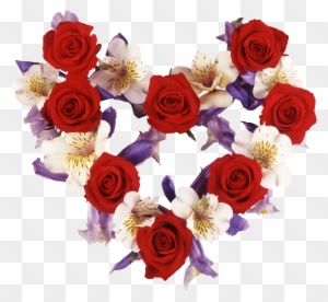All These Pictures Are Attractive And Fabulous - Heart Shaped Flowers Valentine