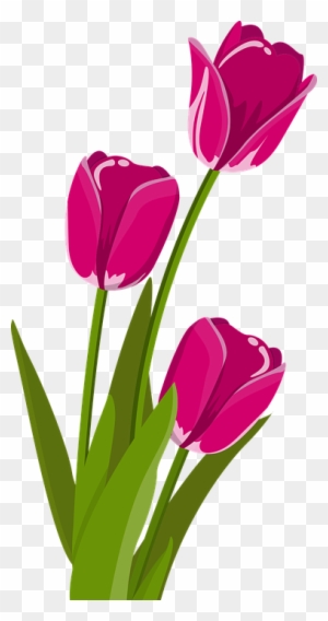 Free Spring Flower Clipart 19, Buy Clip Art - Tulips Clipart
