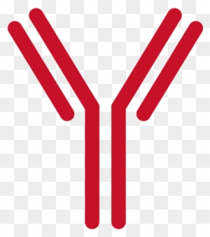 Antibody Clipart Transparent Png Clipart Images Free Download Clipartmax
