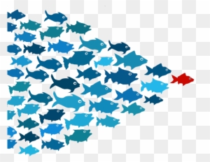 School Of Fish Transparent Png - Now, Discover Your Strengths