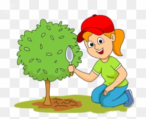 Taking Care Of Plants Clipart