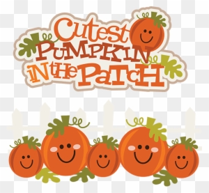 Fall Clipart Pumpkin Picking - Cutest Pumpkin In The Patch