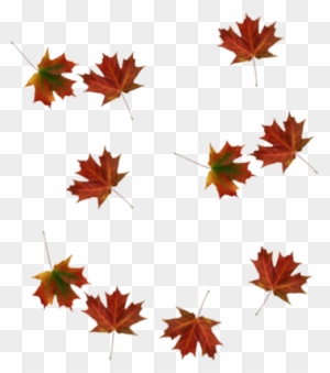 Tree With Falling Leaves Clip Art Transparent Png Clipart Images Free Download Clipartmax