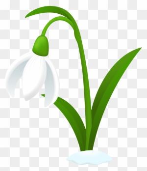 minimalist snowdrop flower tattooTikTok Search