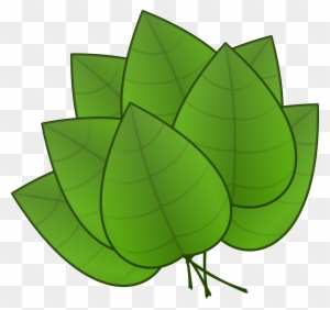 Free Leaves - Parts Of The Plant Leaves