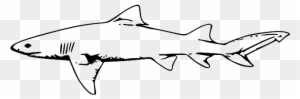 Outline, White, Danger, Fish, Book, Lemon, Line - Hammerhead Shark Fork Length