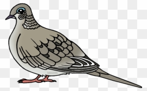 State Symbol Of Peace Of Wisconsin - Mourning Dove Clipart