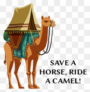 Silk Road Camel Stickers Messages Sticker-11 - Sticker