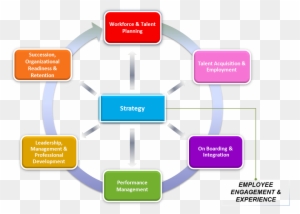 Talent Clip Art, Transparent PNG Clipart Images Free Download - ClipartMax