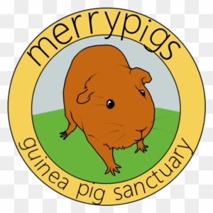A Small Guinea Pig Sanctuary Run In Staffordshire, - Federal Election Campaign Act 1974