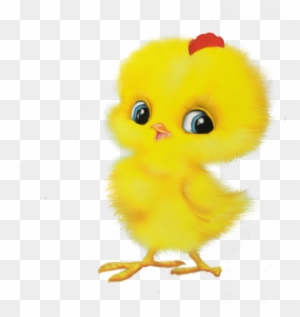 Chicken Child Game Easter Egger - Chicken Child Game Easter Egger