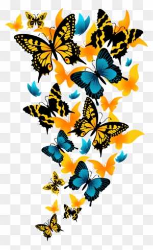 Wall Color - Beautiful Butterfly Png