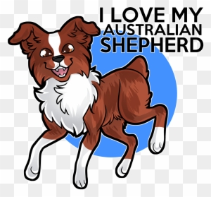 Australian Shepherds Are The Cutest Border Collies - Go Big Or Get Lost