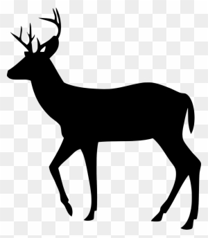 Download Free Svg Images New Baby Congratulations Hunting Theme With Deer Card Free Transparent Png Clipart Images Download