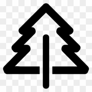Pine Tree Gross Outline Vector - Pine Icon